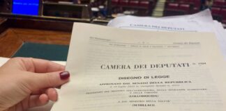 Contrasto alla Carne Sintetica. La Camera ha approvato il Disegno di Legge