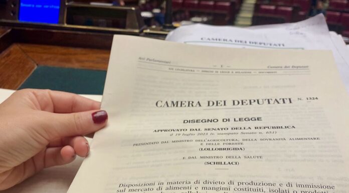 Contrasto alla Carne Sintetica. La Camera ha approvato il Disegno di Legge