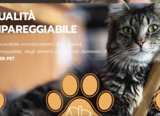Food valley: qualità assoluta e rispetto dell’ambiente