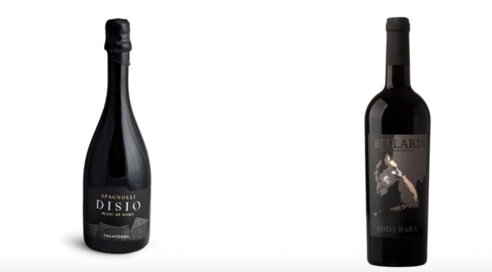 Con cosa brindare sotto l’albero