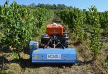 Come affrontare la siccità in vigneto (Video)