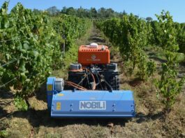 Come affrontare la siccità in vigneto (Video)