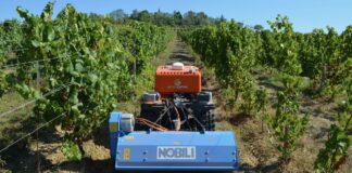 Come affrontare la siccità in vigneto (Video)