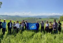L’esempio virtuoso di LIFE agriCOlture protagonista alla COP28