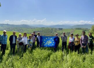 L’esempio virtuoso di LIFE agriCOlture protagonista alla COP28