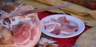 Carne coltivata vietata: solo fumo negli occhi