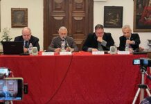 Rivoluzione Green: un progetto avventato?