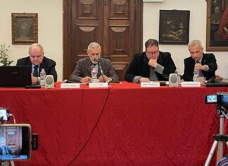 Rivoluzione Green: un progetto avventato?