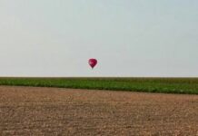 Eurofollia: in Emilia Romagna primo bando per smettere di coltivare