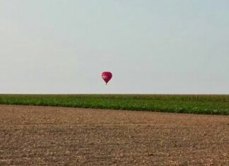 Eurofollia: in Emilia Romagna primo bando per smettere di coltivare