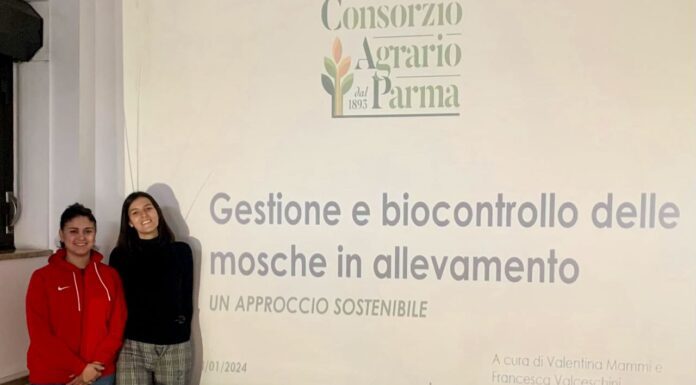 Consorzio Agrario: massima attenzione sula Gestione e il bio controllo delle mosche in allevamento