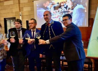 La Via del Vino da Merano a Siena