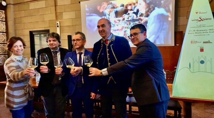 La Via del Vino da Merano a Siena