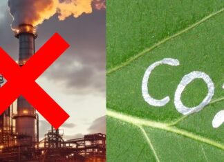 COP28: verso l’abbandono dei combustibili fossili