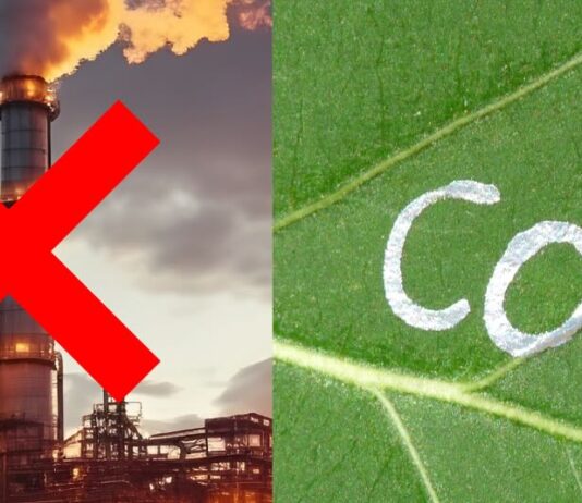 COP28: verso l’abbandono dei combustibili fossili