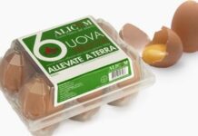 ALLERTA! Uova, ancora un richiamo per salmonella