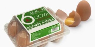 ALLERTA! Uova, ancora un richiamo per salmonella