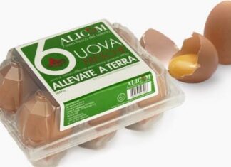 ALLERTA! Uova, ancora un richiamo per salmonella