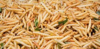 Il potere del popolo