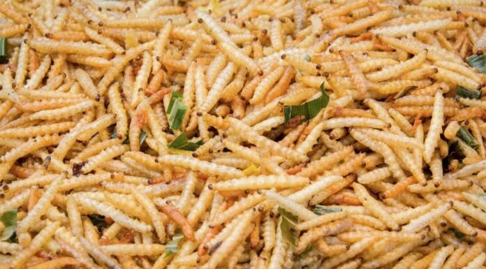 Il potere del popolo