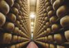 TASTE 2024, il Parmigiano Reggiano torna a Firenze con un focus sulle lunghe stagionature.