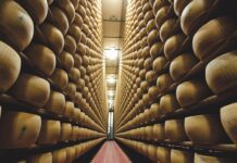 TASTE 2024, il Parmigiano Reggiano torna a Firenze con un focus sulle lunghe stagionature.