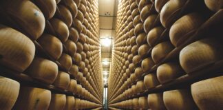 TASTE 2024, il Parmigiano Reggiano torna a Firenze con un focus sulle lunghe stagionature.