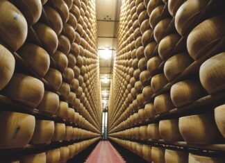 TASTE 2024, il Parmigiano Reggiano torna a Firenze con un focus sulle lunghe stagionature.