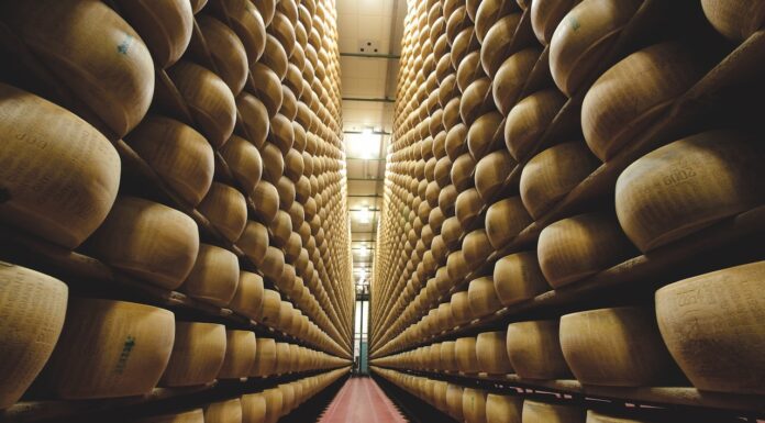 TASTE 2024, il Parmigiano Reggiano torna a Firenze con un focus sulle lunghe stagionature.
