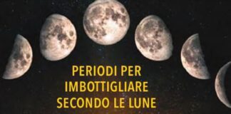 Consorzio Agrario, il decalogo 2024 per il miglior imbottigliamento secondo le lune