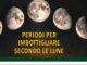 Consorzio Agrario, il decalogo 2024 per il miglior imbottigliamento secondo le lune