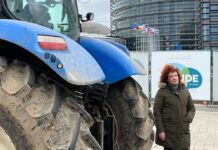 Agricoltura, Basso ( LEGA-ID): “l’Europa deve ascoltare le proteste e cancellare i provvedimenti ideologici”