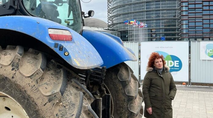Agricoltura, Basso ( LEGA-ID): “l’Europa deve ascoltare le proteste e cancellare i provvedimenti ideologici”