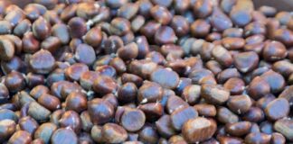 Incontro di degustazione con le castagne