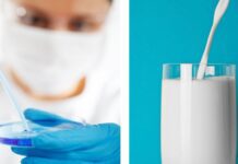 Non solo carne, anche latte e formaggi sintetici. Un business USA-CINA