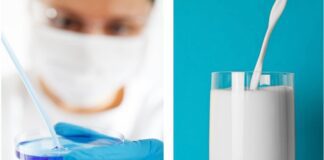 Non solo carne, anche latte e formaggi sintetici. Un business USA-CINA