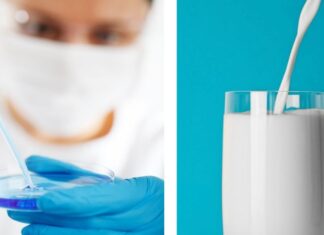 Non solo carne, anche latte e formaggi sintetici. Un business USA-CINA