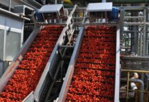 Pomodoro, trattativa per il prezzo conclusa senza nessun accordo.