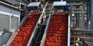 Pomodoro, trattativa per il prezzo conclusa senza nessun accordo.