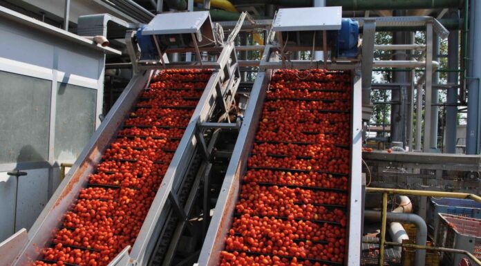 Pomodoro, trattativa per il prezzo conclusa senza nessun accordo.