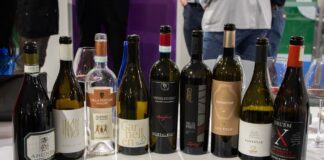MERANO WINEFESTIVAL e VINITALY hanno presentato il nuovo progetto che promuove i vini in anfora con la masterclass “Amphora Revolution”.