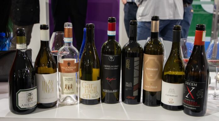 MERANO WINEFESTIVAL e VINITALY hanno presentato il nuovo progetto che promuove i vini in anfora con la masterclass “Amphora Revolution”.