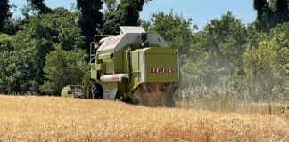 “Cereali e dintorni”. Verso la logistica OFF.