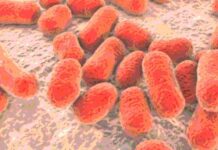 Antibiotico resistenza