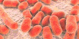 Antibiotico resistenza