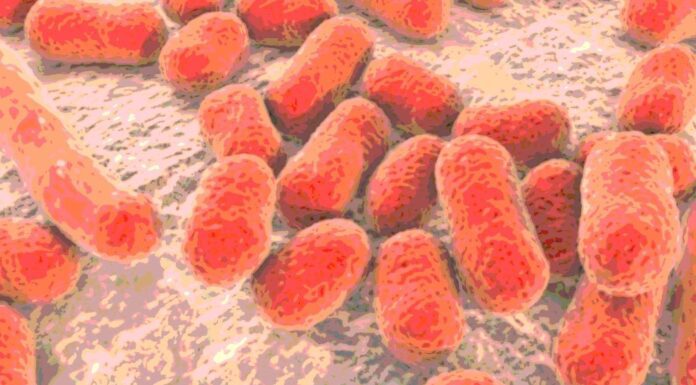 Antibiotico resistenza