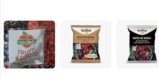 Alert! Frutti di bosco congelati, ritirati dal mercato italiano.