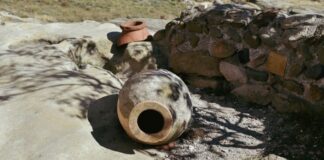 AMPHORA REVOLUTION, il 7 e 8 giugno alle Gallerie Mercatali di Verona