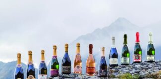 Reportage tra Vignaioli e Cantine del Burgraviato – Seconda Parte