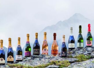 Reportage tra Vignaioli e Cantine del Burgraviato – Seconda Parte
